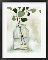 Eucalyptus Branch Still Life II Framed Print