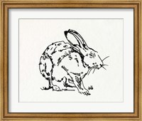 Framed Resting Hare II