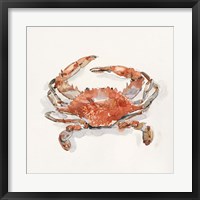 Framed Crusty Crab II