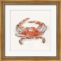 Framed Crusty Crab II