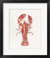Framed 'Salty Lobster I' border=
