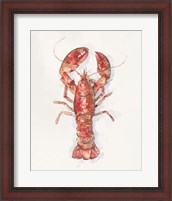 Framed Salty Lobster I