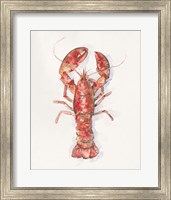 Framed Salty Lobster I