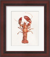 Framed Salty Lobster II
