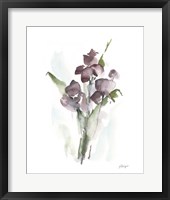 Plum Bouquet I Framed Print