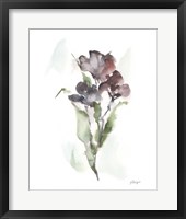 Plum Bouquet II Framed Print