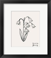 Framed 'Annual Flowers I' border=