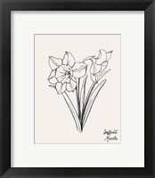 Framed 'Annual Flowers III' border=