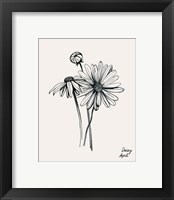 Framed 'Annual Flowers IV' border=