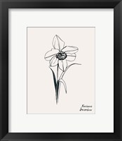 Framed 'Annual Flowers XII' border=