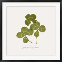 Framed Pressed Clover II