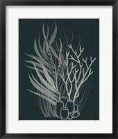 Framed 'Underwater Bouquet I' border=