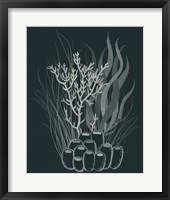 Framed 'Underwater Bouquet II' border=