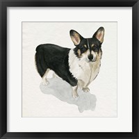 Framed 'Pup for the Queen I' border=