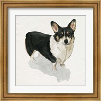 Framed 'Pup for the Queen I' border=