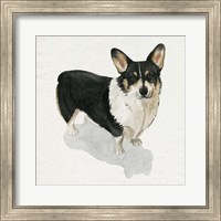 Framed Pup for the Queen I