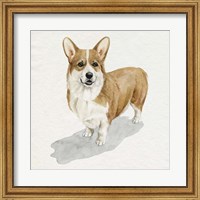 Framed Pup for the Queen II