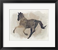 Framed Galloping II