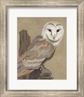 Framed 'Common Barn Owl Portrait I' border=