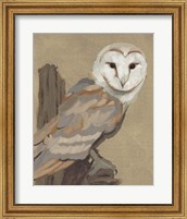 Framed Common Barn Owl Portrait I