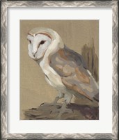 Framed Common Barn Owl Portrait II