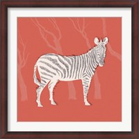 Framed Plains Zebra I