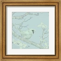Framed Backyard Bird Sketch I