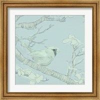 Framed 'Backyard Bird Sketch I' border=