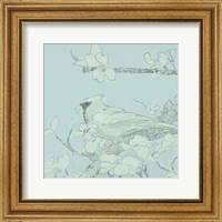 Framed Backyard Bird Sketch II