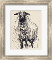 Framed 'Charcoal Sheep I' border=