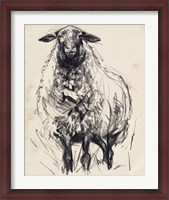 Framed Charcoal Sheep I
