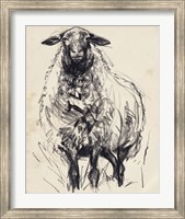 Framed Charcoal Sheep I