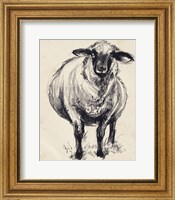 Framed Charcoal Sheep II