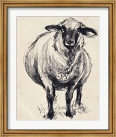 Framed Charcoal Sheep II