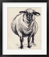 Charcoal Sheep II Framed Print