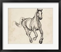 Gestural Apaloosa II Framed Print