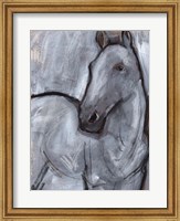 Framed White Horse Contour II