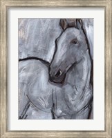 Framed White Horse Contour II