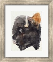 Framed 'Watercolor Bison Profile II' border=