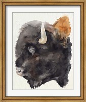 Framed Watercolor Bison Profile II