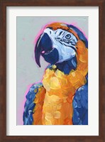 Framed Pop Art Parrot I