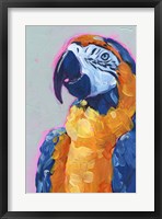 Framed Pop Art Parrot I
