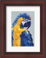 Framed Pop Art Parrot II