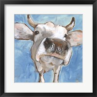 Cattle Close-up I Framed Print