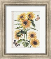 Framed Autumn Sunflowers I