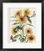 Framed 'Autumn Sunflowers I' border=