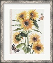 Framed 'Autumn Sunflowers I' border=