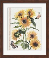 Framed 'Autumn Sunflowers I' border=