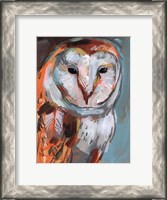 Framed Optic Owl I