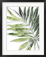 Expressive Palm IV Framed Print